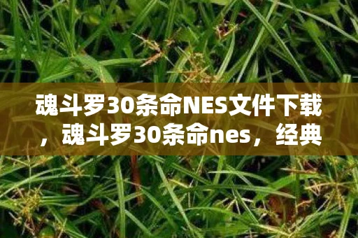 魂斗罗30条命NES文件下载，魂斗罗30条命nes，经典游戏的传奇故事