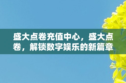 盛大点卷充值中心，盛大点卷，解锁数字娱乐的新篇章