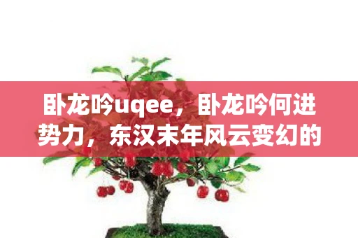 卧龙吟uqee，卧龙吟何进势力，东汉末年风云变幻的权谋博弈