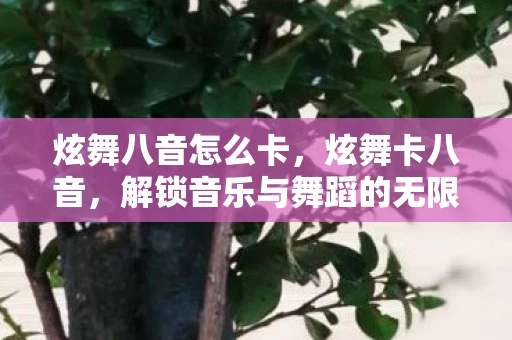 炫舞八音怎么卡，炫舞卡八音，解锁音乐与舞蹈的无限可能