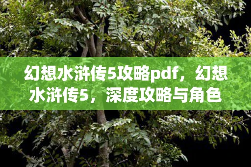 幻想水浒传5攻略pdf，幻想水浒传5，深度攻略与角色解析