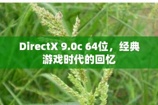 DirectX 9.0c 64位，经典游戏时代的回忆