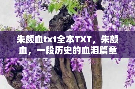 朱颜血txt全本TXT，朱颜血，一段历史的血泪篇章