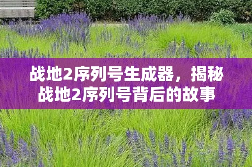 战地2序列号生成器，揭秘战地2序列号背后的故事