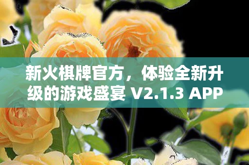 体验全新升级的游戏盛宴 V2图片