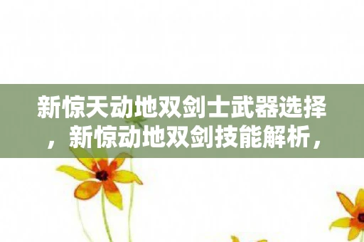 新惊天动地双剑士武器选择，新惊动地双剑技能解析，掌握双剑精髓，开启战斗新篇章
