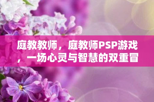 庭教教师，庭教师PSP游戏，一场心灵与智慧的双重冒险