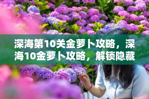 深海第10关金萝卜攻略，深海10金萝卜攻略，解锁隐藏宝藏的终极指南