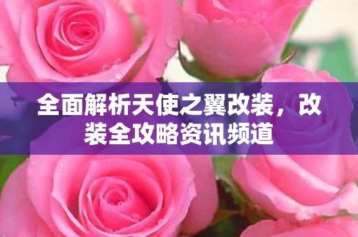 全面解析天使之翼改装图片