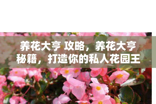 养花大亨 攻略，养花大亨秘籍，打造你的私人花园王国