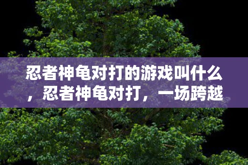 忍者神龟对打的游戏叫什么，忍者神龟对打，一场跨越时空的忍者对决