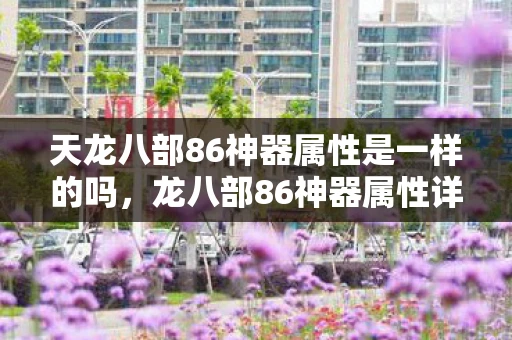 天龙八部86神器属性是一样的吗,龙八部86神器属性详解,打造最强战斗力的关键 天龙八部86神器属性是一样的吗,龙八部86神器属性详解,打造最强战斗力的关键