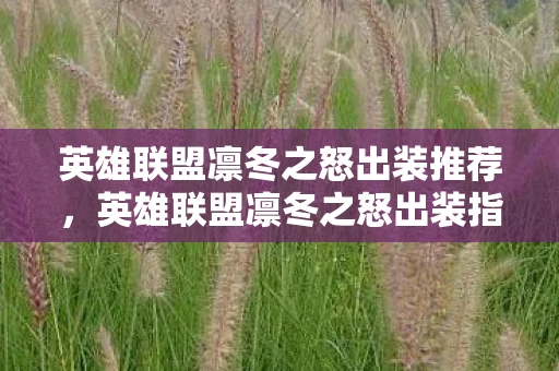 英雄联盟凛冬之怒出装推荐，英雄联盟凛冬之怒出装指南，打造最强冰霜之心