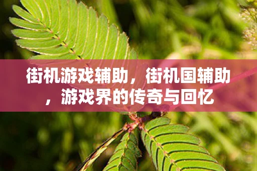 街机游戏辅助，街机国辅助，游戏界的传奇与回忆