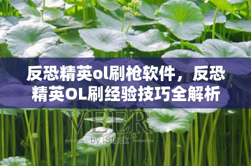 反恐精英ol刷枪软件，反恐精英OL刷经验技巧全解析