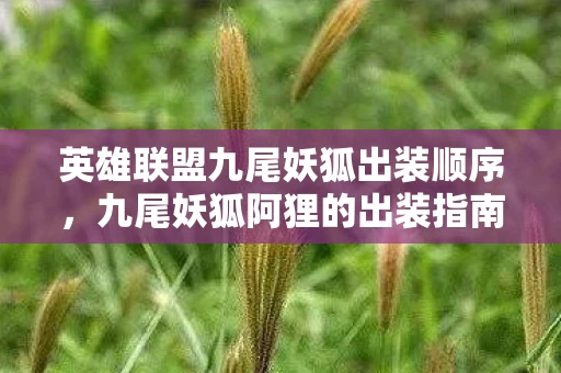 英雄联盟九尾妖狐出装顺序，九尾妖狐阿狸的出装指南，如何在英雄联盟中打造最强AP刺客