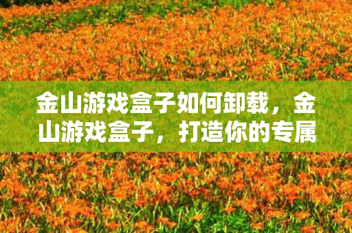 金山游戏盒子如何卸载，金山游戏盒子，打造你的专属游戏天堂