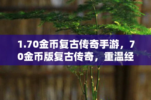 1.70金币复古传奇手游，70金币版复古传奇，重温经典，再燃激情