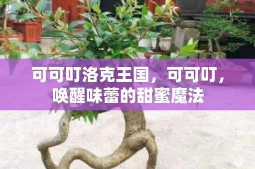 可可叮洛克王国,可可叮,唤醒味蕾的甜蜜魔法 可可叮洛克王国,可可叮,唤醒味蕾的甜蜜魔法