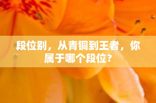 段位别,从青铜到王者,你属于哪个段位? 段位别,从青铜到王者,你属于哪个段位?