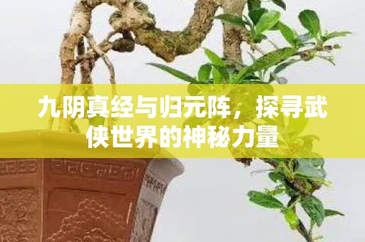 九阴真经与归元阵,探寻武侠世界的神秘力量 九阴真经与归元阵,探寻武侠世界的神秘力量