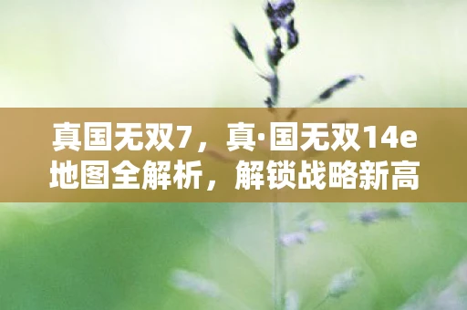 真国无双7,真·国无双14e地图全解析,解锁战略新高度 真国无双7,真·国无双14e地图全解析,解锁战略新高度