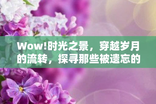 Wow!时光之景，穿越岁月的流转，探寻那些被遗忘的印记