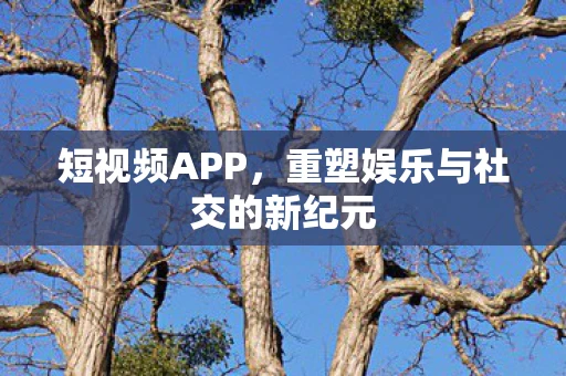 短视频APP，重塑娱乐与社交的新纪元