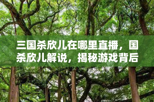 三国杀欣儿在哪里直播,国杀欣儿解说,揭秘游戏背后的策略与智慧 三国杀欣儿在哪里直播,国杀欣儿解说,揭秘游戏背后的策略与智慧