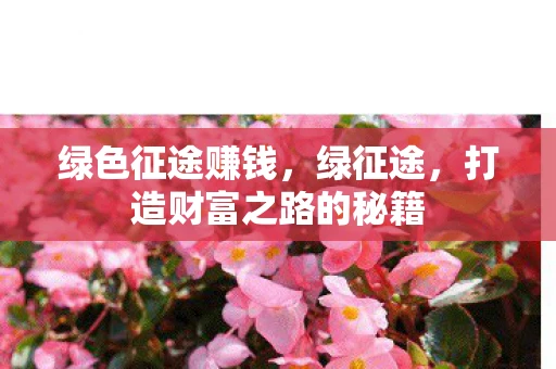 绿色征途赚钱，绿征途，打造财富之路的秘籍