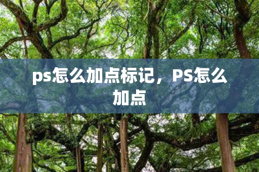 ps怎么加点标记,PS怎么加点 ps怎么加点标记,PS怎么加点