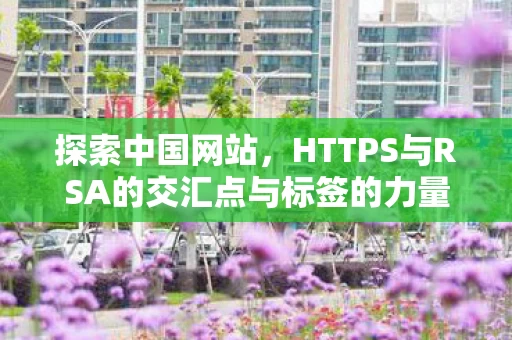 HTTPS与RSA的交汇点与标签的力量图片