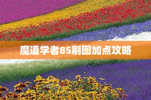 魔道学者85刷图加点攻略 魔道学者85刷图加点攻略