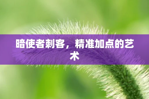 暗使者刺客，精准加点的艺术
