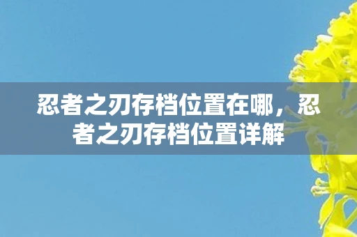 忍者之刃存档位置在哪，忍者之刃存档位置详解
