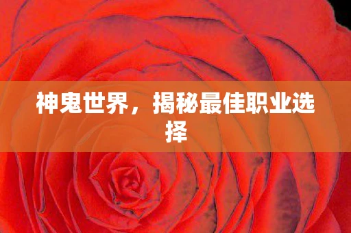 神鬼世界，揭秘最佳职业选择