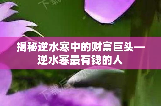 揭秘逆水寒中的财富巨头图片