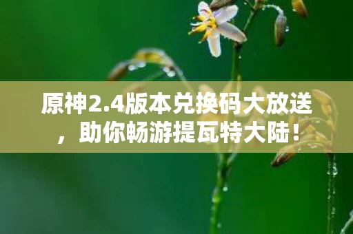 原神2.4版本兑换码大放送，助你畅游提瓦特大陆！