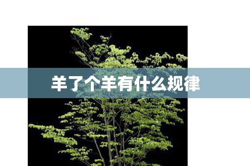 羊了个羊有什么规律