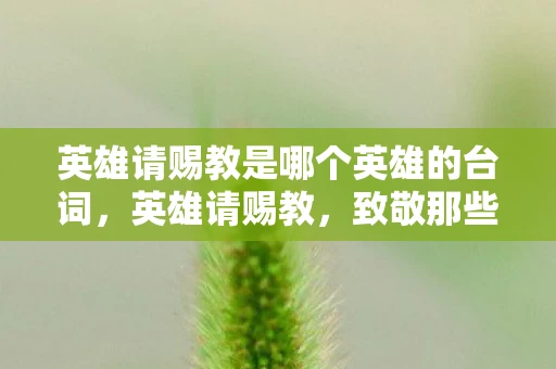 英雄请赐教是哪个英雄的台词，英雄请赐教，致敬那些默默守护我们的无名英雄