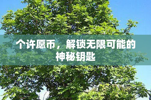 个许愿币，解锁无限可能的神秘钥匙