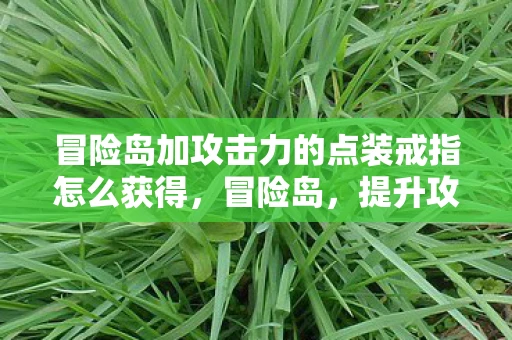 冒险岛加攻击力的点装戒指怎么获得，冒险岛，提升攻击力的点装全解析