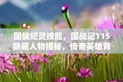 国战纪灵技能，国战记115隐藏人物揭秘，传奇英雄背后的故事