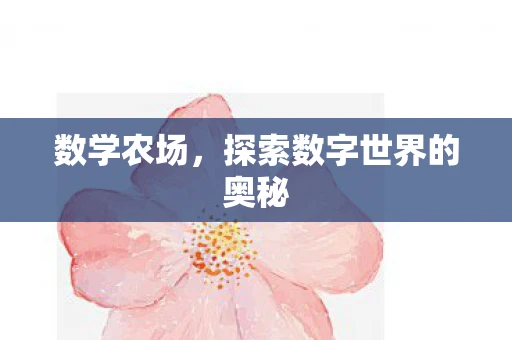 数学农场，探索数字世界的奥秘