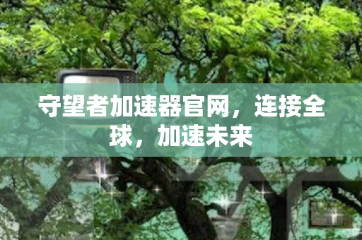 守望者加速器官网，连接全球，加速未来