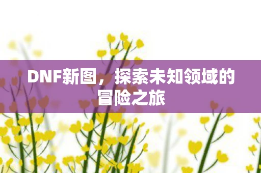 DNF新图，探索未知领域的冒险之旅