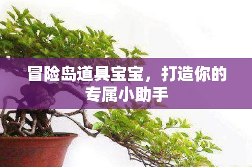 冒险岛道具宝宝，打造你的专属小助手