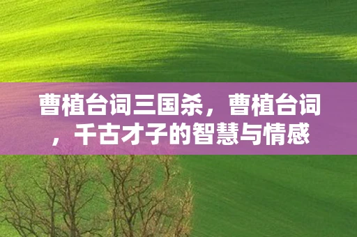 曹植台词三国杀，曹植台词，千古才子的智慧与情感