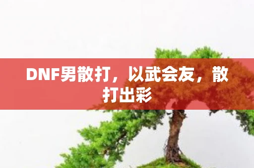 DNF男散打，以武会友，散打出彩