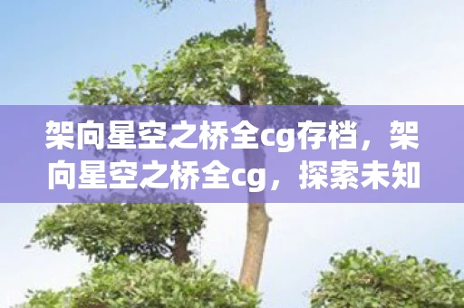 架向星空之桥全cg存档，架向星空之桥全cg，探索未知宇宙的浪漫之旅